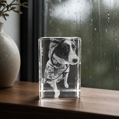 Custom 3D Portrait Crystal